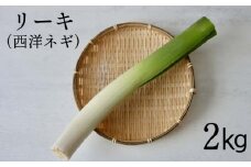 岩手県産 リーキ 2kg 【みのり風土】 ／ 西洋ねぎ ポロネギ ネギ 葱 ねぎ ポワロ ポロ ポアロ リーク 香味野菜 野菜 フランス料理 フレンチ イタリア料理 イタリアン 新鮮 希少 稀少 産地直送 国内産 国産 八幡平市産 産地直送 農家直送 期間限定 煮込み料理 ポトフ 長ネギ 長ねぎ オススメ おすすめ 