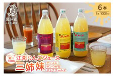 江刺りんごジュース 三姉妹（1000ml瓶×6本）江刺産サンつがる ジョナゴールド サンふじ使用 ストレート果汁100％ 飲料 果実飲料 リンゴジュース 林檎 [A0045]