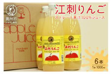 江刺りんごジュース ジョナレギュラー（1000ml瓶×6本）江刺産ジョナゴールド使用 ストレート果汁100％ [A0046]