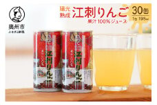陽光熟成江刺りんごジュース (195ml×30缶) 江刺産サンふじ使用 ストレート果汁100％ [A0048]