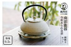 南部鉄器 急須 令和あられ急須 鍋敷きセット 0.5L 【及富作】 伝統工芸品 キッチン用品 食器 日用品 雑貨 [AK001]