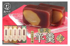 菊泉堂 岩谷堂羊羹 特大羊羹 5本入 明治36年創業 伝統和菓子 スイーツ 贈り物 ギフト 贈答用 お中元 お歳暮 常温 のし対応 [V0001]