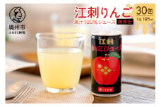  江刺りんごジュース 藤原缶 195ml×30缶 江刺産 ジョナゴールド・サンふじ使用 ストレート果汁100％ 飲料 果実飲料 リンゴジュース 林檎 奥州藤原氏 「炎立つ」 記念 企画 岩手 [A0047]