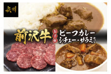 前沢牛 ビーフカレー ビーフシチュー スライスサラミ お手軽セット レトルト 詰め合わせ [ME015]