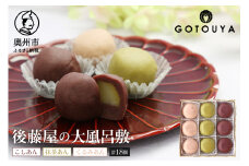 後藤屋の大風呂敷 9個入り 2箱セット 愛されて70年 和菓子 のし対応 [M0012]