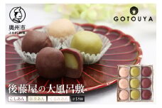 後藤屋の大風呂敷 9個入り 2箱セット 愛されて70年 和菓子 のし対応 [M0012]