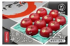 【数量限定】江刺りんご サンふじ 2.5kg 贈答用化粧箱入【12月お届け】 フルーツ 林檎 [AQ007]