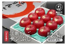【数量限定】江刺りんご サンふじ 2.5kg 贈答用化粧箱入【12月お届け】 フルーツ 林檎 [AQ007]