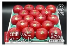 【数量限定】江刺りんご（サンふじ）贈答用化粧箱入り 5kg【12月お届け】 フルーツ 林檎 贈答 ギフト [AQ008]