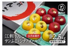 【数量限定】江刺りんご（サンふじ・シナノゴールド）贈答用化粧箱入 2.5kg 【12月お届け】 フルーツ 林檎 贈答 ギフト [AQ009]