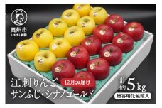 【数量限定】江刺りんご（サンふじ・シナノゴールド）  贈答用化粧箱入 5kg 【12月お届け】 フルーツ 林檎 贈答 ギフト [AQ010]
