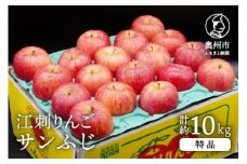 【数量限定】 江刺りんご サンふじ 10kg（28～40玉） 特品 糖度14度以上 高級果物 ブランドフルーツ 林檎 フルーツ [AQ012]