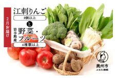 江刺りんごと岩手県産野菜セット【令和8年2月お届け】 林檎 フルーツ 野菜 詰め合わせ 冷蔵配送 離島配送不可 [AQ019]