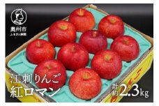 数量限定 江刺りんご 紅ロマン 2.3kg(8～11玉) 【8月下旬以降お届け】フルーツ 林檎 冷蔵配送 離島配送不可 [AQ021]