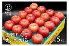 江刺りんご サンつがる 5kg(16～20玉) 【9月中旬以降お届け】 フルーツ 林檎 冷蔵配送 離島配送不可 [AQ022]