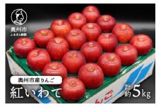 奥州市産りんご 紅いわて 5kg(14~20玉) 【10月上旬以降お届け】 フルーツ 林檎 冷蔵配送 離島配送不可 [AQ024]