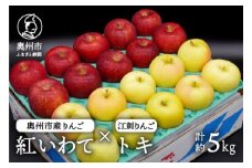 奥州市産りんご（紅いわて）と江刺りんご（トキ）のセット 5kg（14～20玉） 【10月中旬以降お届け】 フルーツ 林檎 離島配送不可 [AQ025]