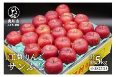 【数量限定】江刺りんご サンふじ 小玉 5kg（23玉）【令和8年1月お届け】 フルーツ 林檎 [AQ027]