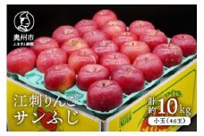 【数量限定】江刺りんご サンふじ 小玉 10kg（46玉）【令和8年1月お届け】 フルーツ 林檎 期間限定 [AQ028]