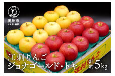 江刺りんご ジョナゴールド・トキ 5kg（16～20玉）【10月下旬以降お届け】 林檎 フルーツ 冷蔵配送 離島配送不可 [AQ026]