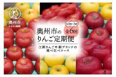奥州市のりんご定期便・6回（10月～3月） 江刺りんごや新ブランドの食べ比べコース フルーツ 林檎 離島配送不可 期間限定 数量限定 [AQ030]