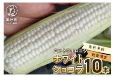 【先行予約】 白いとうもろこし ホワイトショコラ 10本 【数量限定】 300g以上 糖度17度以上 メロン並みの糖度 個包装 2025年6月下旬から出荷 離島配送不可 [T0012]
