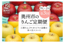 数量限定 奥州市のりんご定期便・3回(9月～11月) 江刺りんごやオリジナル品種の食べ比べコース サンつがる 紅いわて ジョナゴールド トキ 果物 フルーツ 冷蔵配送 離島配送不可 [AQ034]