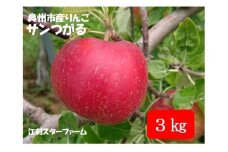 【スターファーム】 こだわり栽培の サンつがる 厳選品 3kg 岩手県奥州市産りんご 産地直送 フルーツ 離島配送不可 [AY005]