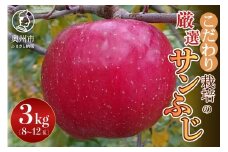 【スターファーム】 こだわり栽培の サンふじ 厳選品 3kg 岩手県奥州市産りんご 産地直送 フルーツ [AY004]