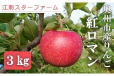 【スターファーム】 こだわり栽培の 紅ロマン 厳選品 3kg 岩手県奥州市産りんご 産地直送 フルーツ 離島配送不可 [AY001]
