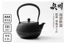 南部鉄器 鉄瓶 寒梅あられ鉄瓶 ～ARARE～ 1.2L IH調理器 伝統工芸品 やかん ケトル キッチン用品 食器 日用品 雑貨 鉄分補給 [BE001]