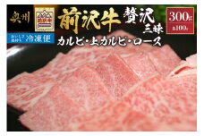 【冷凍】 前沢牛 贅沢三昧 (カルビ100g・上カルビ100g・ロース100g) ブランド牛肉 国産 国産牛 牛肉 お肉 冷凍 [U0199]