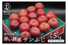 奥州市産りんご 赤い誘惑「サンふじ」 中玉約5kg 16-18玉 優品 フルーツ 果物 1箱 [AQ077]