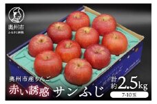奥州市産りんご 赤い誘惑「サンふじ」約2.5kg 7-10玉 優品 フルーツ 果物 1箱 [AQ079]