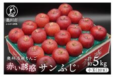奥州市産りんご 赤い誘惑「サンふじ」 小玉約5kg 20玉 優品 フルーツ 果物 1箱 [AQ078]