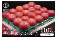 奥州市産りんご 赤い誘惑「サンふじ」約10kg 28-40玉 優品 フルーツ 果物 1箱 期間限定 数量限定 [AQ080]