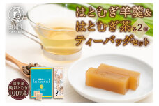 ハトムギようかん 2本 ＆ ハトムギ茶 ティーバッグ 2箱 セット 包み紙 五十嵐大介氏作 羊羹 和菓子 麦茶 飲料 奥州市産 国産 [L0006]