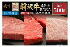 【冷凍】 前沢牛 ステーキ 贅沢三昧 ヒレ 100g ランプ 100g×2 サーロインハーフ 100g×2 食べ比べ 霜降り 赤身 極上品 高級部位 上品 人気 奥州市産 [U0208]