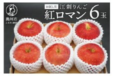 お試し用 江刺りんご「紅ロマン」6玉 フルーツ 林檎 冷蔵配送 離島配送不可 [AQ089]