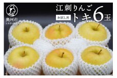 お試し用 江刺りんご「トキ」6玉 フルーツ 林檎 少量 冷蔵配送 離島配送不可 [AQ091]