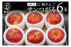 お試し用 江刺りんご「サンつがる」6玉 フルーツ 林檎 少量 冷蔵配送 離島配送不可 [AQ090]