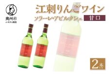 江刺りんごワイン 甘口 720ml 2本セット サンふじ アルコール ソラーレ・アビルクシェ ギフト プレゼント [A0074]