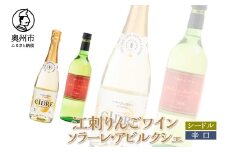 江刺りんごワイン シードル×辛口 720ml 2本セット サンふじ アルコール ソラーレ・アビルクシェ ギフト プレゼント [A0077]