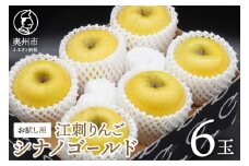 お試し用 江刺りんご 「シナノゴールド」 6玉 フルーツ 林檎 少量 常温配送 期間限定 数量限定 [AQ094]