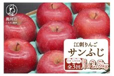 【定期便】奥州市りんご3か月定期便 江刺りんご「サンふじ」 約2.5kg(8-10玉) 11月～翌年1月お届け フルーツ 果物 林檎 常温配送 期間限定 数量限定 [AQ096]