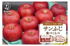 【定期便】 奥州市りんご3か月定期便 奥州市産「サンふじ」 11月～翌年1月お届け 江刺 赤い誘惑 フルーツ 果物 林檎 常温配送 期間限定 数量限定 [AQ097]