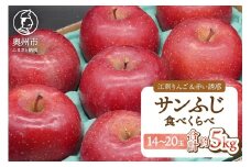 江刺りんご「サンふじ」＆赤い誘惑「サンふじ」 食べ比べセット 約5kg 12月下旬～1月上旬頃順次発送 江刺 赤い誘惑 フルーツ 果物 林檎 常温配送 期間限定 数量限定 [AQ098]