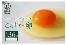 イーハトーヴの四季 6パック こだわりの卵 6個入×6パック 計36個 たまご 玉子 生卵 鶏卵 卵かけご飯 TKG 甘味 旨味 岩手県 奥州市 【冷蔵発送】【離島配送不可】[J0015]