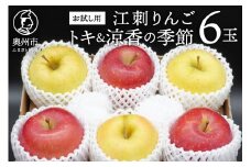 お試し用 江刺りんご 「トキ＆涼香の季節」 6玉 (各3玉入) フルーツ 林檎 少量 冷蔵配送 期間限定 数量限定 離島配送不可 [AQ093]