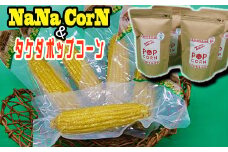 なないろ農園のとうもろこし ナナコーン 5本 & タケダポップコーン 2種 計4袋 ／ とうもろこし スイートコーン ポップコーン 【TAKIZAWA　CORNS】